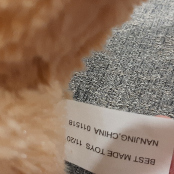 Grad bear - Picture 4 of 4